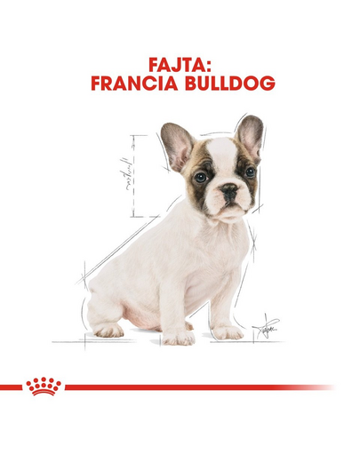 ROYAL CANIN FRENCH BULLDOG PUPPY - Francia Bulldog kölyök kutya száraz táp 10 kg