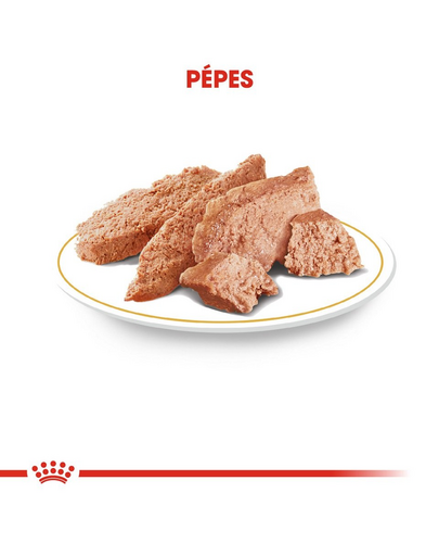 ROYAL CANIN POMERANIAN ADULT 85g Miniatűr spitz felnőtt kutya nedves táp