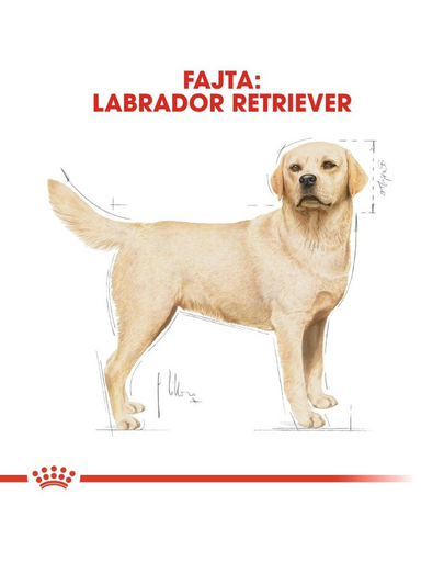 ROYAL CANIN LABRADOR ADULT 24 kg (2 x 12 kg) Labrador Retriever felnőtt kutya száraz táp