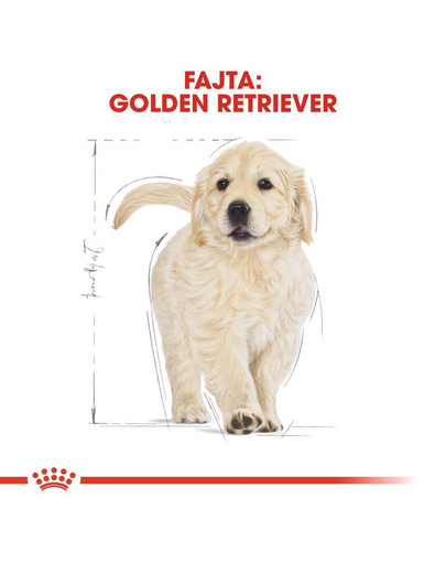 ROYAL CANIN GOLDEN RETRIEVER PUPPY - Golden Retriever klyök kutya száraz táp 24 kg (2 x 12 kg)