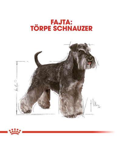 ROYAL CANIN MINIATURE SCHNAUZER ADULT - Törpe schnauzer felnőtt kutya száraz táp 0,5 kg