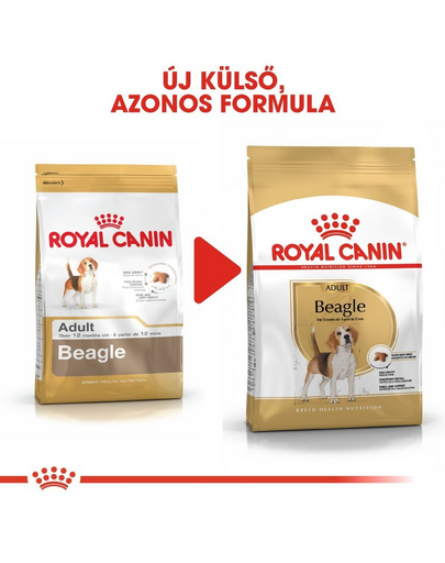 ROYAL CANIN BEAGLE ADULT - Beagle felnőtt kutya száraz táp (2 x 12 kg)