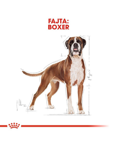 ROYAL CANIN BOXER ADULT - Boxer felnőtt kutya száraz táp 24 kg (2 x 12 kg)