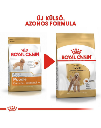 ROYAL CANIN POODLE ADULT - Uszkár felnőtt kutya száraz táp 0,5 kg