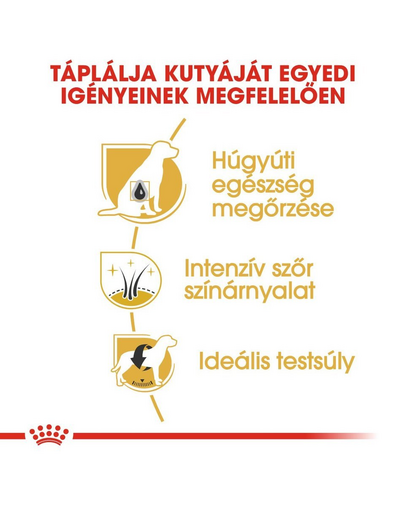 ROYAL CANIN MINIATURE SCHNAUZER ADULT - Törpe schnauzer felnőtt kutya száraz táp 0,5 kg