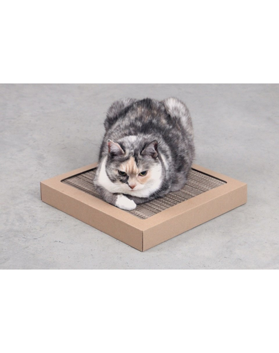CARTON+ PETS Karton macskakaparó Tom