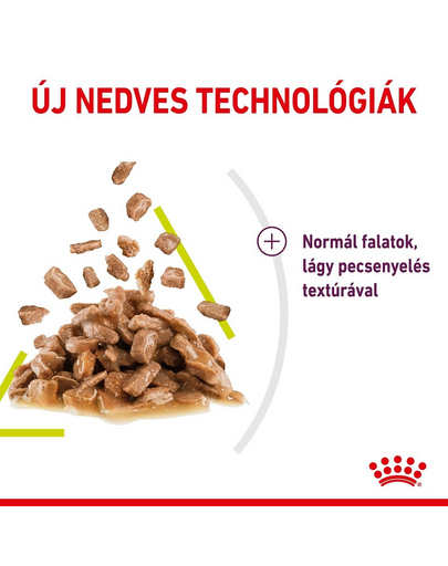 ROYAL CANIN SENSORY SMELL GRAVY 85g - nedves eledel szószban felnőtt macskáknak a szaglás serkentése érdekében