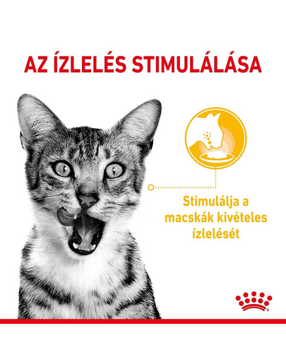 ROYAL CANIN SENSORY TASTE GRAVY 85g - nedves eledel felnőtt macskáknak mártásban, fokozott ízérzettel
