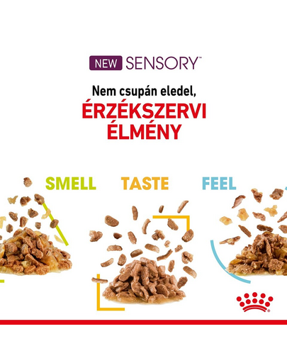ROYAL CANIN SENSORY TASTE GRAVY 85g - nedves eledel felnőtt macskáknak mártásban, fokozott ízérzettel