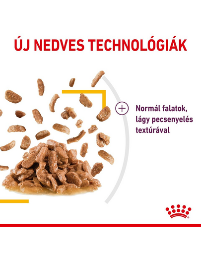 ROYAL CANIN SENSORY TASTE GRAVY 85g - nedves eledel felnőtt macskáknak mártásban, fokozott ízérzettel