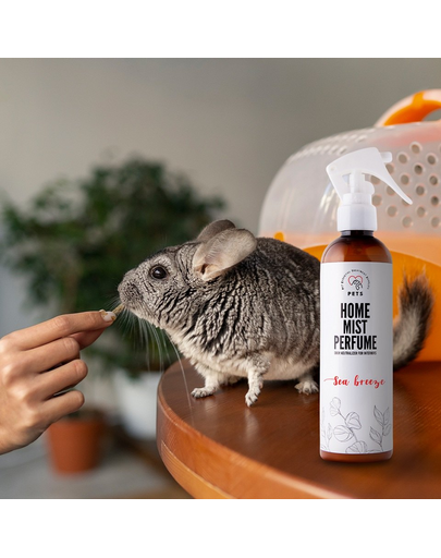PETS Home Mist Perfume Sea Breeze 250 ml szagsemlegesítő köd belső terekbe