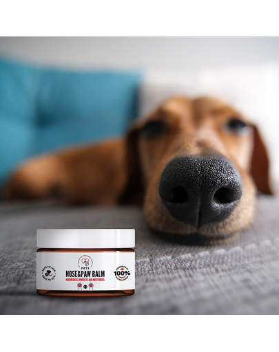 PETS Nose & Paw Balm orr- és mancsápoló balzsam 75 ml