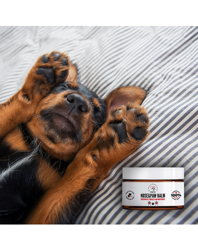 PETS Nose & Paw Balm orr- és mancsápoló balzsam 75 ml
