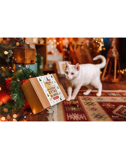 ZOLUX karácsonyi macska ajándékcsomag