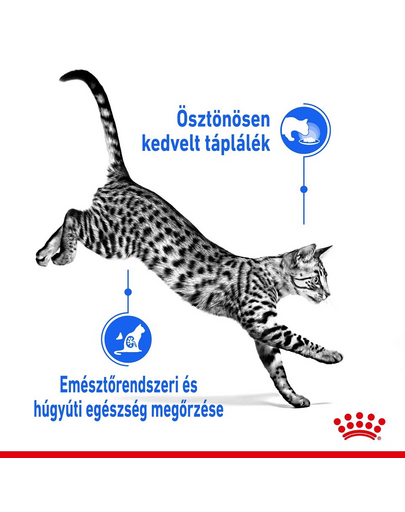 ROYAL CANIN Indoor Sterilised Gravy - idősödő macska szószos nedves táp 12 x 85 g