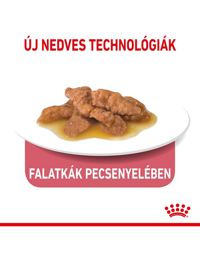 ROYAL CANIN Indoor Sterilised Gravy - idősödő macska szószos nedves táp 12 x 85 g