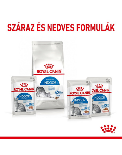 ROYAL CANIN Indoor Sterilised Gravy - idősödő macska szószos nedves táp 12 x 85 g