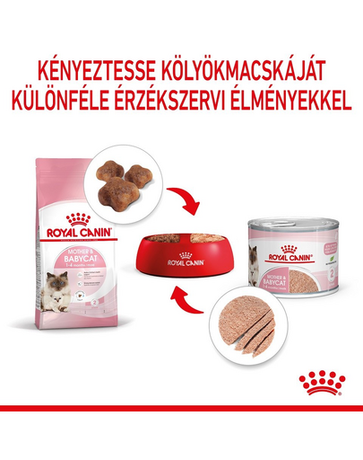 ROYAL CANIN BABYCAT INSTINCTIVE - kölyök macska pépes nedves táp 10 12x195g