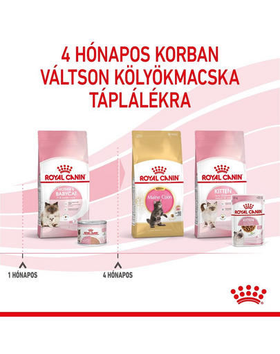 ROYAL CANIN BABYCAT INSTINCTIVE - kölyök macska pépes nedves táp 10 12x195g