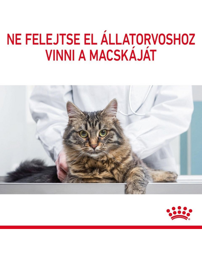ROYAL CANIN HAIRBALL CARE GRAVY - szószos nedves táp felnőtt macskák részére a szőrlabdák könnyebb eltávozásáért 85g