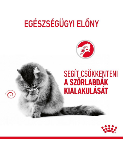 ROYAL CANIN HAIRBALL CARE GRAVY - szószos nedves táp felnőtt macskák részére a szőrlabdák könnyebb eltávozásáért 85g
