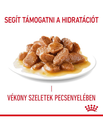 ROYAL CANIN HAIRBALL CARE GRAVY - szószos nedves táp felnőtt macskák részére a szőrlabdák könnyebb eltávozásáért 85g