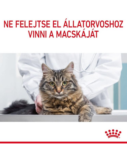 ROYAL CANIN Appetite Control Jelly 85 g felnőtt túlzott étvágyú macskák esetében
