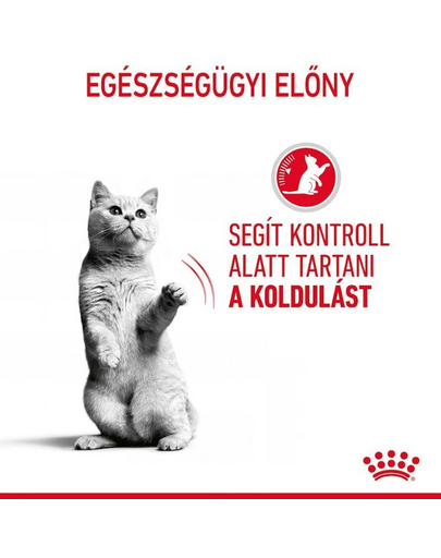 ROYAL CANIN Appetite Control Jelly 85 g felnőtt túlzott étvágyú macskák esetében