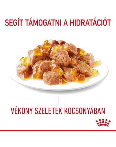 ROYAL CANIN Appetite Control Jelly 85 g felnőtt túlzott étvágyú macskák esetében
