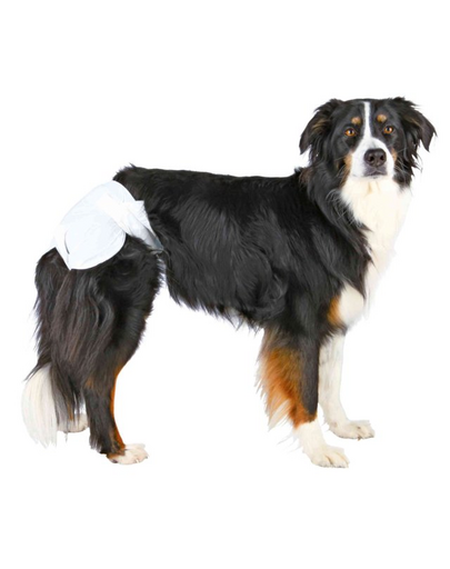 TRIXIE kutyanadrág szukáknak