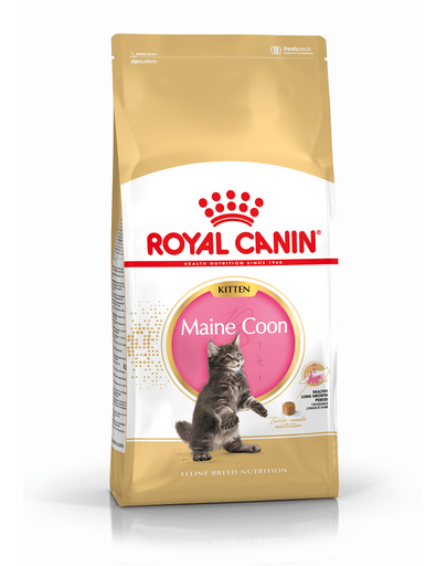 ROYAL CANIN MAINE COON KITTEN - Maine Coon kölyök macska száraz táp 4 kg