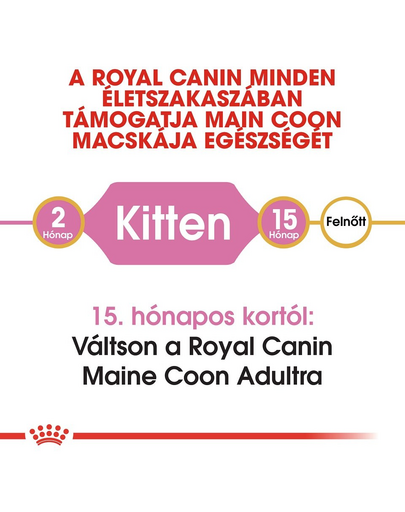 ROYAL CANIN MAINE COON KITTEN - Maine Coon kölyök macska száraz táp 0,4 kg