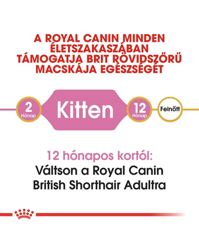 ROYAL CANIN BRITISH SHORTHAIR KITTEN - Brit rövidszőrű kölyök macska száraz táp 0,4 kg