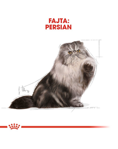 ROYAL CANIN Persian Adult 85g pástétom felnőtt perzsa macskák esetében