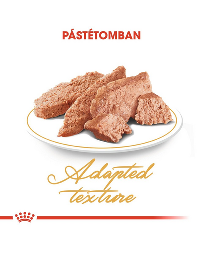ROYAL CANIN Persian Adult 85g pástétom felnőtt perzsa macskák esetében