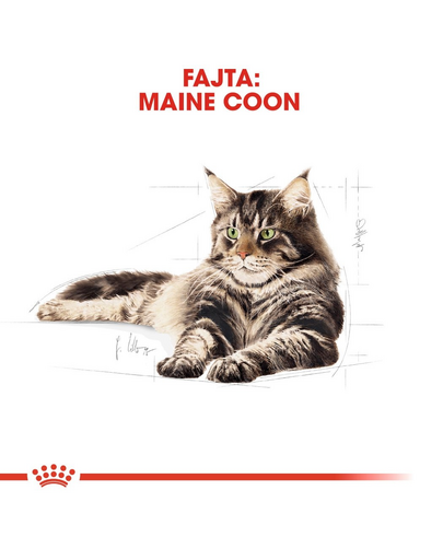 ROYAL CANIN MAINE COON ADULT - Maine Coon felnőtt macska nedves táp 85g x6