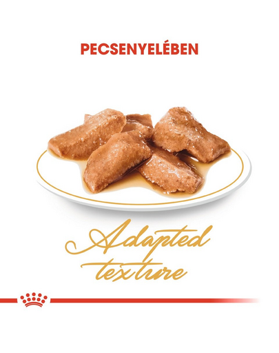 ROYAL CANIN MAINE COON ADULT - Maine Coon felnőtt macska nedves táp 85g x6