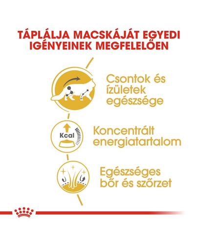 ROYAL CANIN MAINE COON ADULT - Maine Coon felnőtt macska nedves táp 85g x6