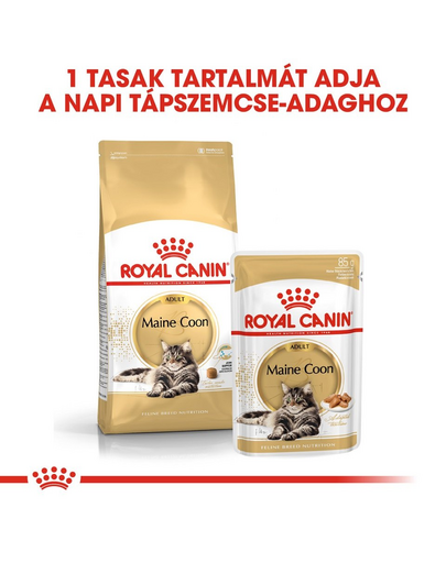 ROYAL CANIN MAINE COON ADULT - Maine Coon felnőtt macska nedves táp 85g x6