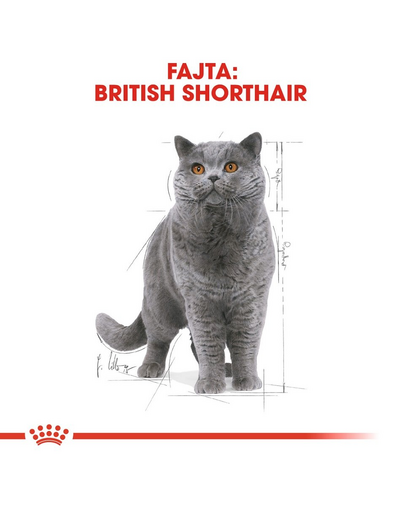 ROYAL CANIN BRITISH SHORTHAIR ADULT - Brit rövidszörű felnőtt macska nedves táp 6x85 g
