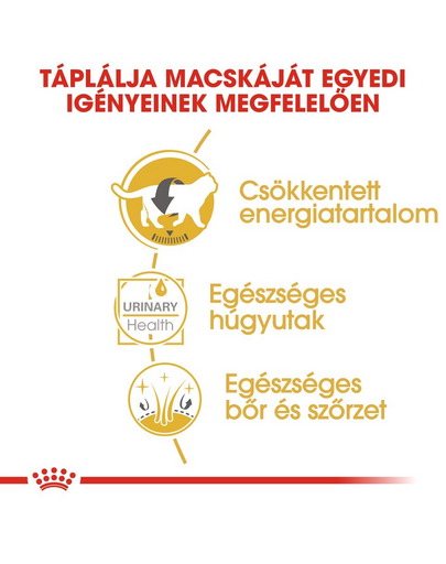 ROYAL CANIN BRITISH SHORTHAIR ADULT - Brit rövidszörű felnőtt macska nedves táp 6x85 g
