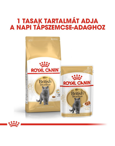 ROYAL CANIN BRITISH SHORTHAIR ADULT - Brit rövidszörű felnőtt macska nedves táp 6x85 g
