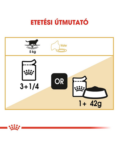 ROYAL CANIN BRITISH SHORTHAIR ADULT - Brit rövidszörű felnőtt macska nedves táp 6x85 g