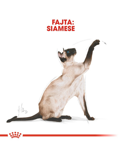 ROYAL CANIN SIAMESE ADULT - Sziámi felnőtt macska száraz táp 4 kg