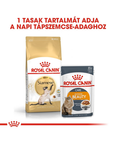 ROYAL CANIN SIAMESE ADULT - Sziámi felnőtt macska száraz táp 10 kg
