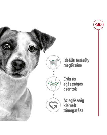 ROYAL CANIN Mini Adult 800g száraztáp felnőtt kutyáknak, kis ász