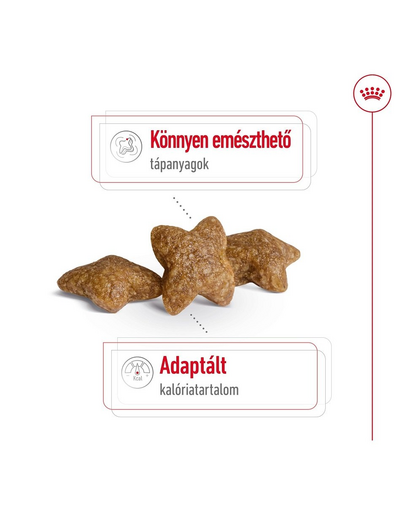 ROYAL CANIN Mini Adult 800g száraztáp felnőtt kutyáknak, kis ász