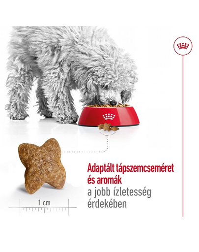 ROYAL CANIN Mini Adult 800g száraztáp felnőtt kutyáknak, kis ász