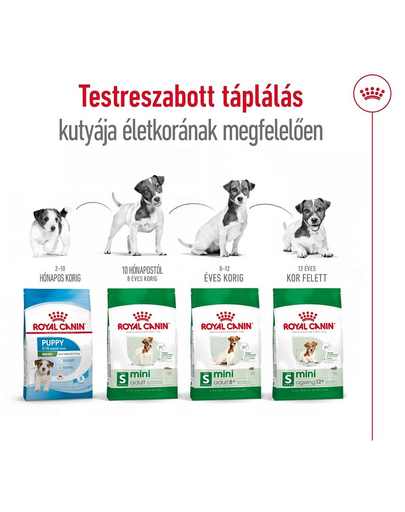 ROYAL CANIN Mini Adult 800g száraztáp felnőtt kutyáknak, kis ász