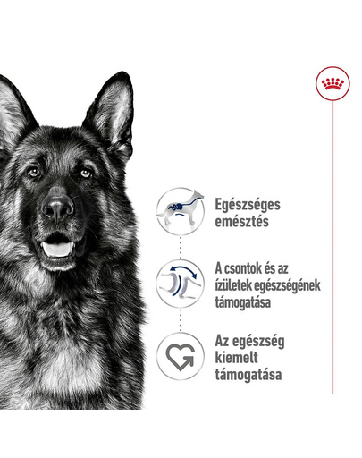 ROYAL CANIN Maxi Adult 4kg száraztáp felnőtt kutyáknak, 5 éves korig, nagytestű fajták